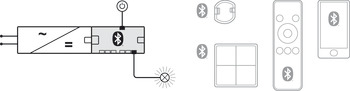 Distributore a 6 vie, Häfele Connect Mesh 24 V a 2 poli (monocromatico)