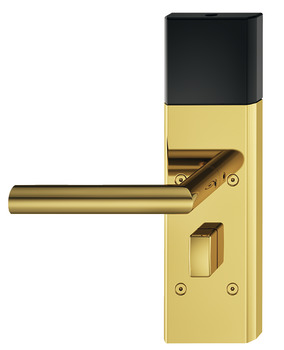 Modulo terminale porta, Häfele Dialock DT 710 con interfaccia Bluetooth SPK aperta, per porte interne/porte di stanze per ospiti, con pomolo girevole