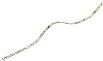 strip LED, Häfele Loox5 LED 2061 12 V 5 mm a 2 poli (monocromatico), 120 LED/m, 9,6 W/m, IP20